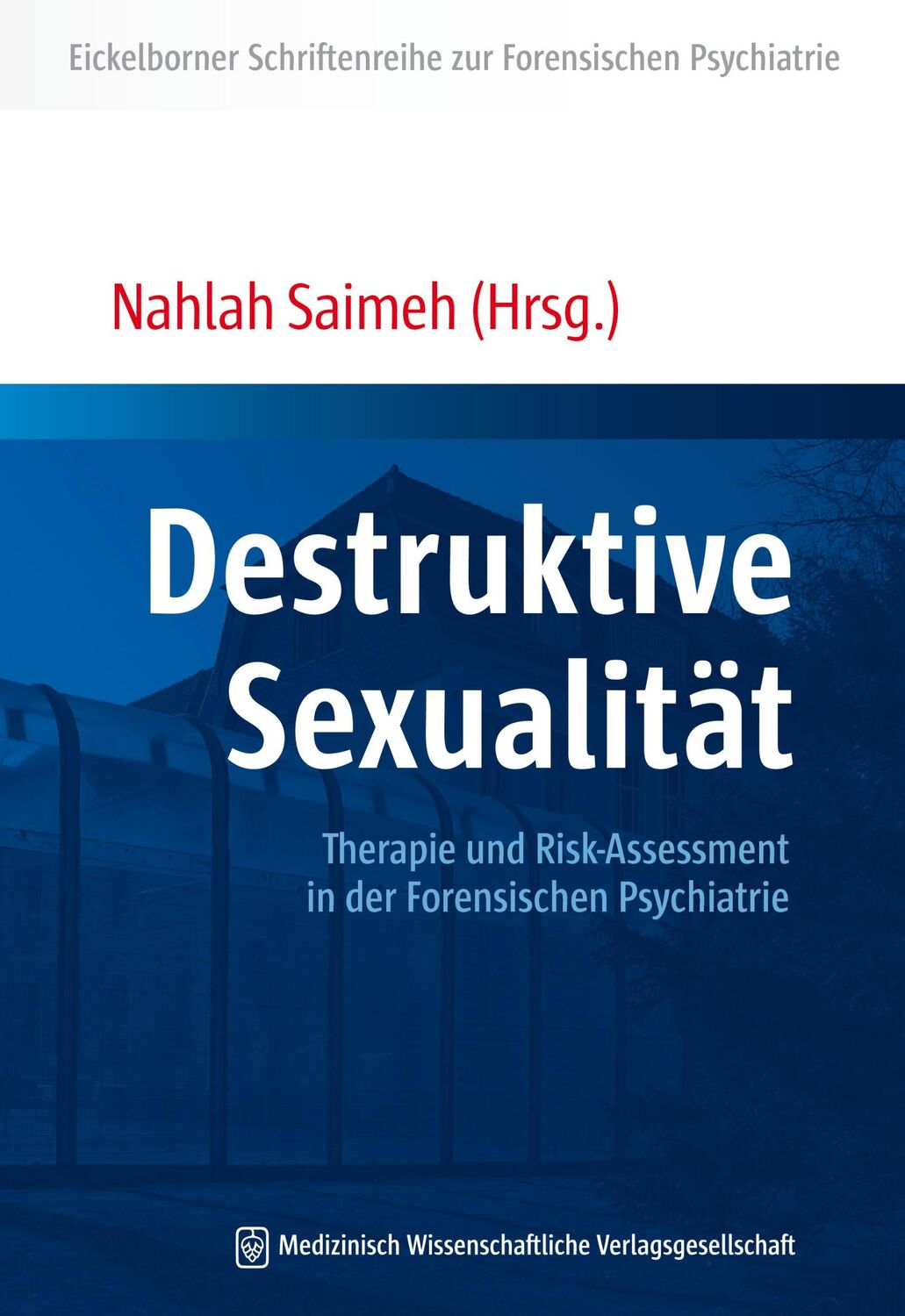 Cover: 9783954664139 | Destruktive Sexualität | Nahlah Saimeh | Taschenbuch | 243 S. | 2018