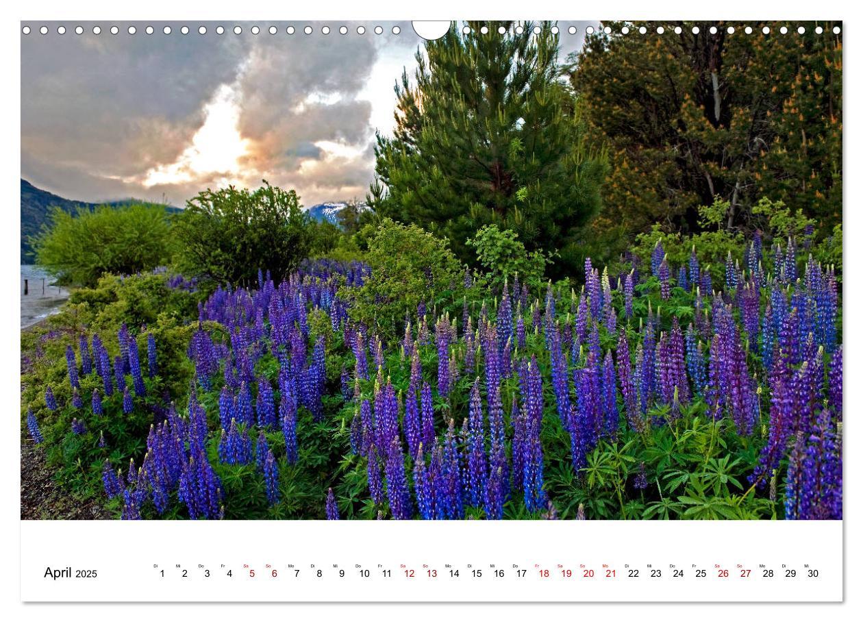 Bild: 9783435457991 | Faszinierendes Patagonien (Wandkalender 2025 DIN A3 quer), CALVENDO...