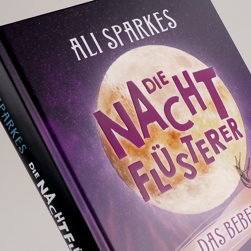 Bild: 9783446268180 | Die Nachtflüsterer - Das Beben | Ali Sparkes | Buch | 270 S. | Deutsch