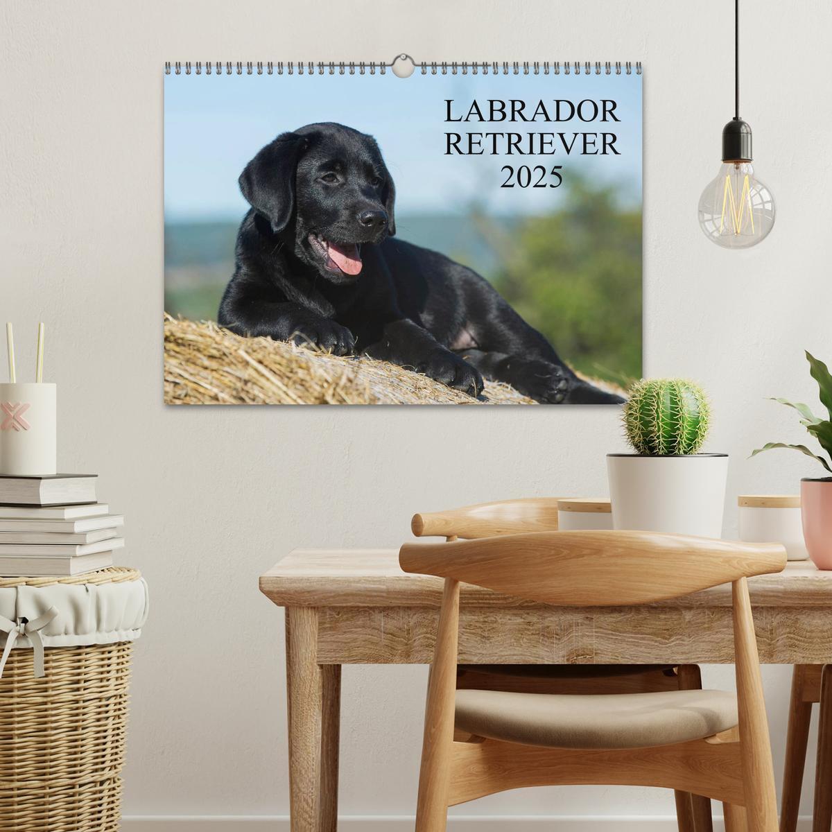 Bild: 9783435761319 | Labrador Retriever 2025 (Wandkalender 2025 DIN A3 quer), CALVENDO...