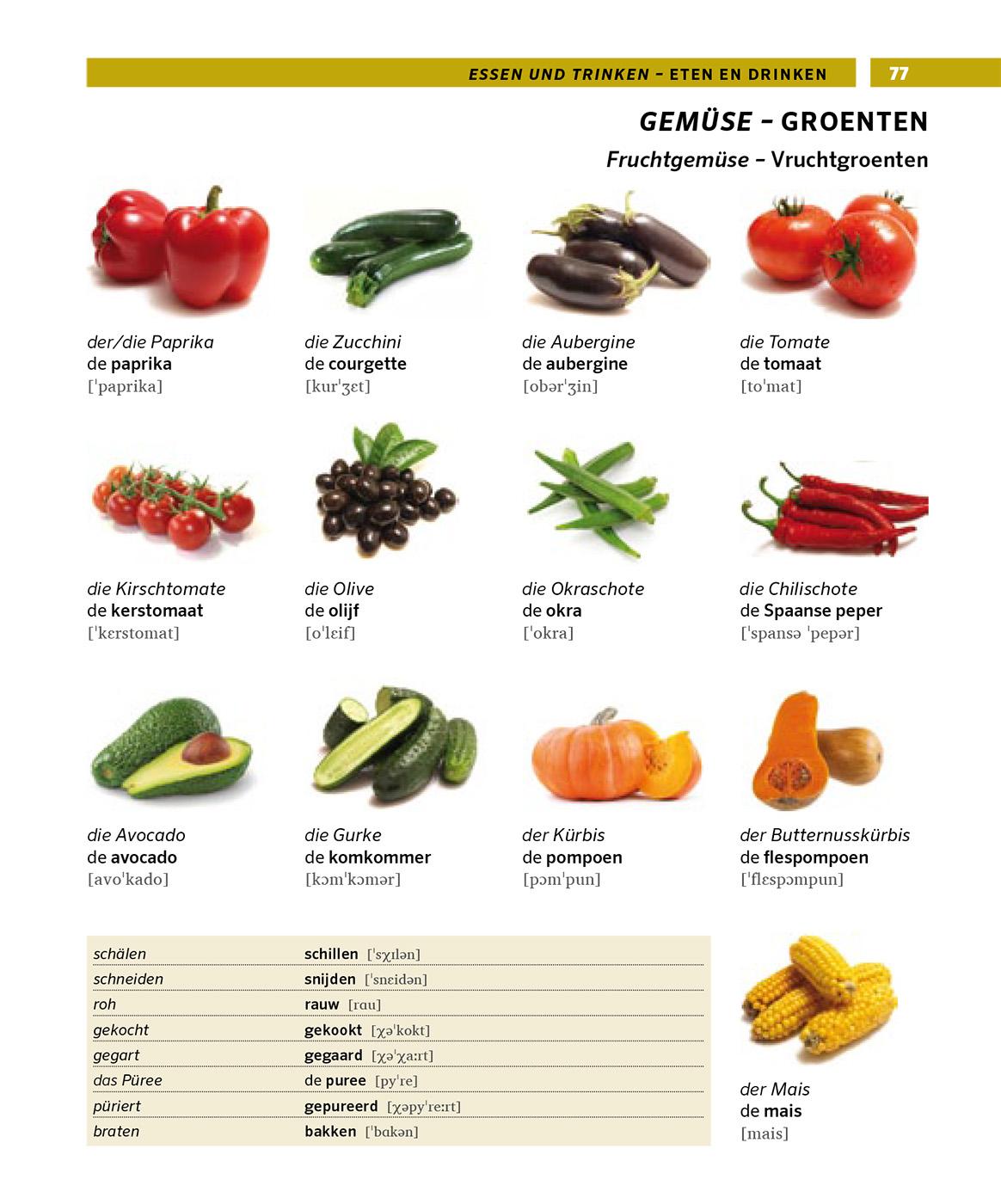 Bild: 9783125162730 | PONS Bildwörterbuch Niederländisch | Taschenbuch | PONS Bildwörterbuch