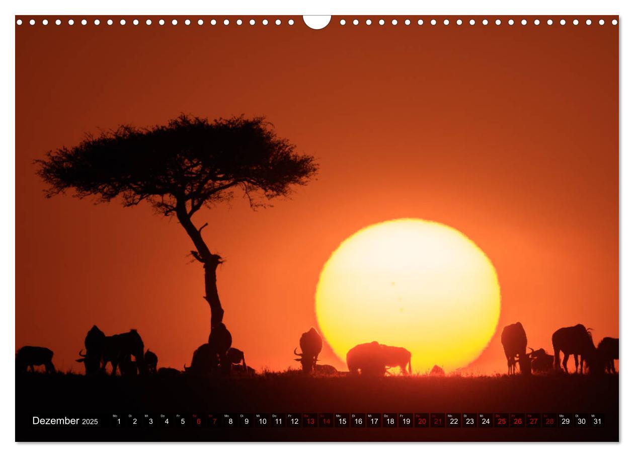 Bild: 9783435346417 | Auf Safari in Kenia 2025 (Wandkalender 2025 DIN A3 quer), CALVENDO...