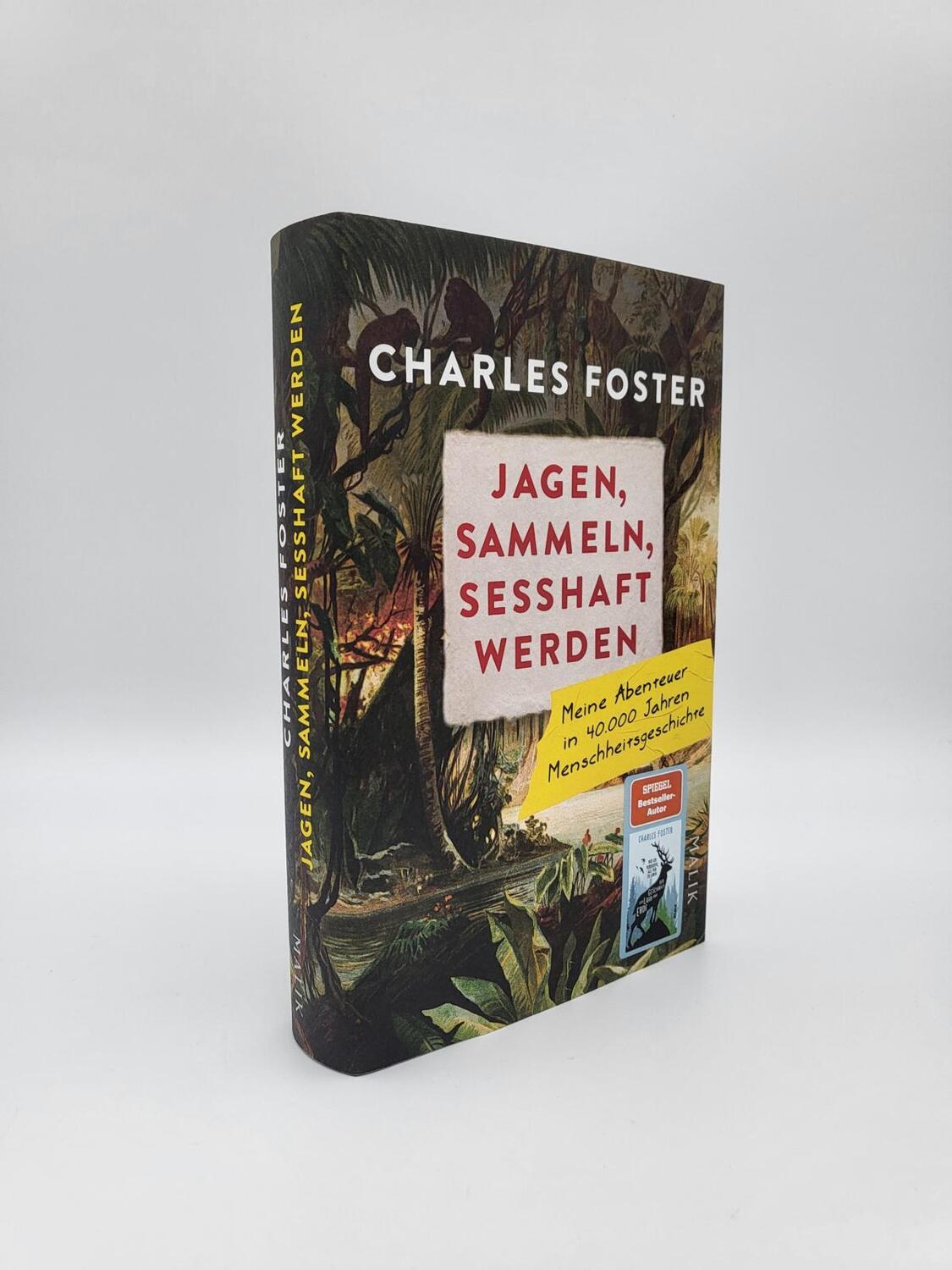 Bild: 9783890295534 | Jagen, sammeln, sesshaft werden | Charles Foster | Buch | 416 S.