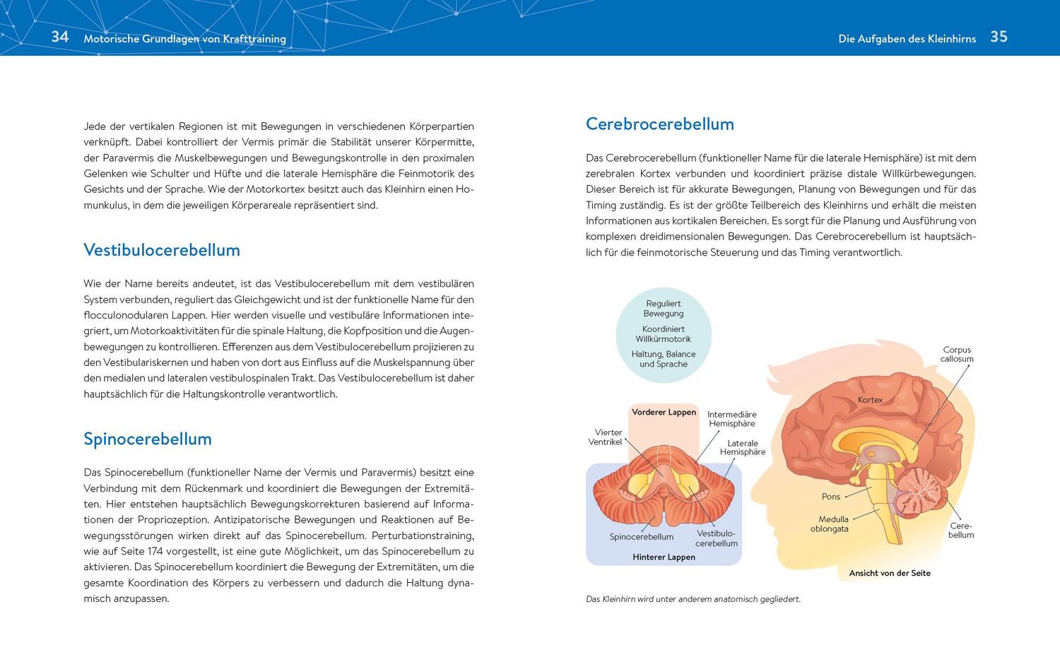 Bild: 9783742315496 | Das neue Krafttraining | Patrick Meinart | Taschenbuch | 288 S. | 2020