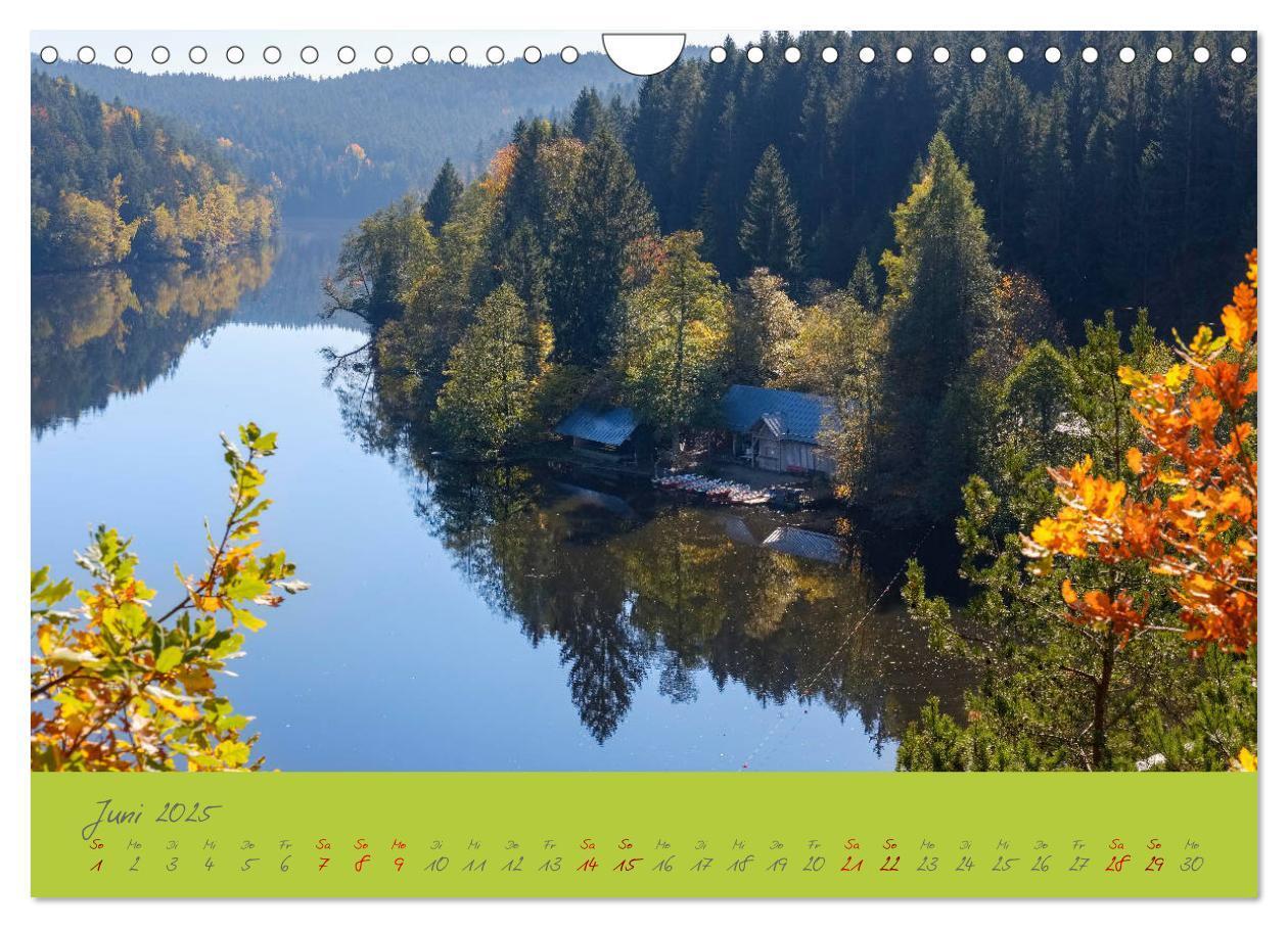 Bild: 9783435194247 | Der Bayerische Wald (Wandkalender 2025 DIN A4 quer), CALVENDO...