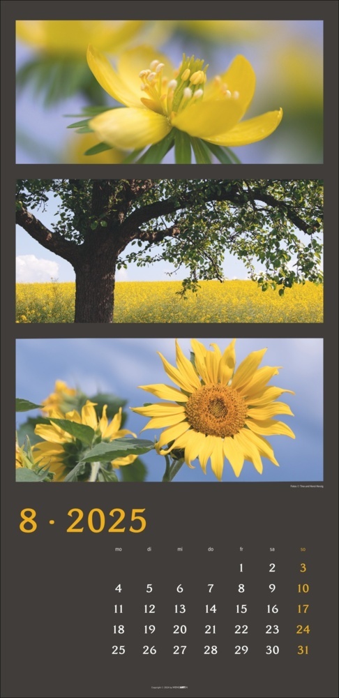 Bild: 9783839900635 | Die Farben der Natur Kalender 2025 | Horst Herzig (u. a.) | Kalender