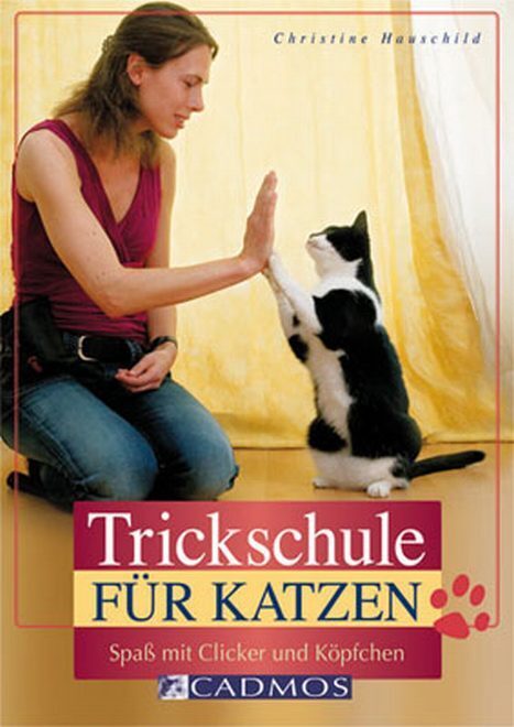 Cover: 9783840440045 | Trickschule für Katzen | Spiel und Spaß mit Köpfchen | Hauschild