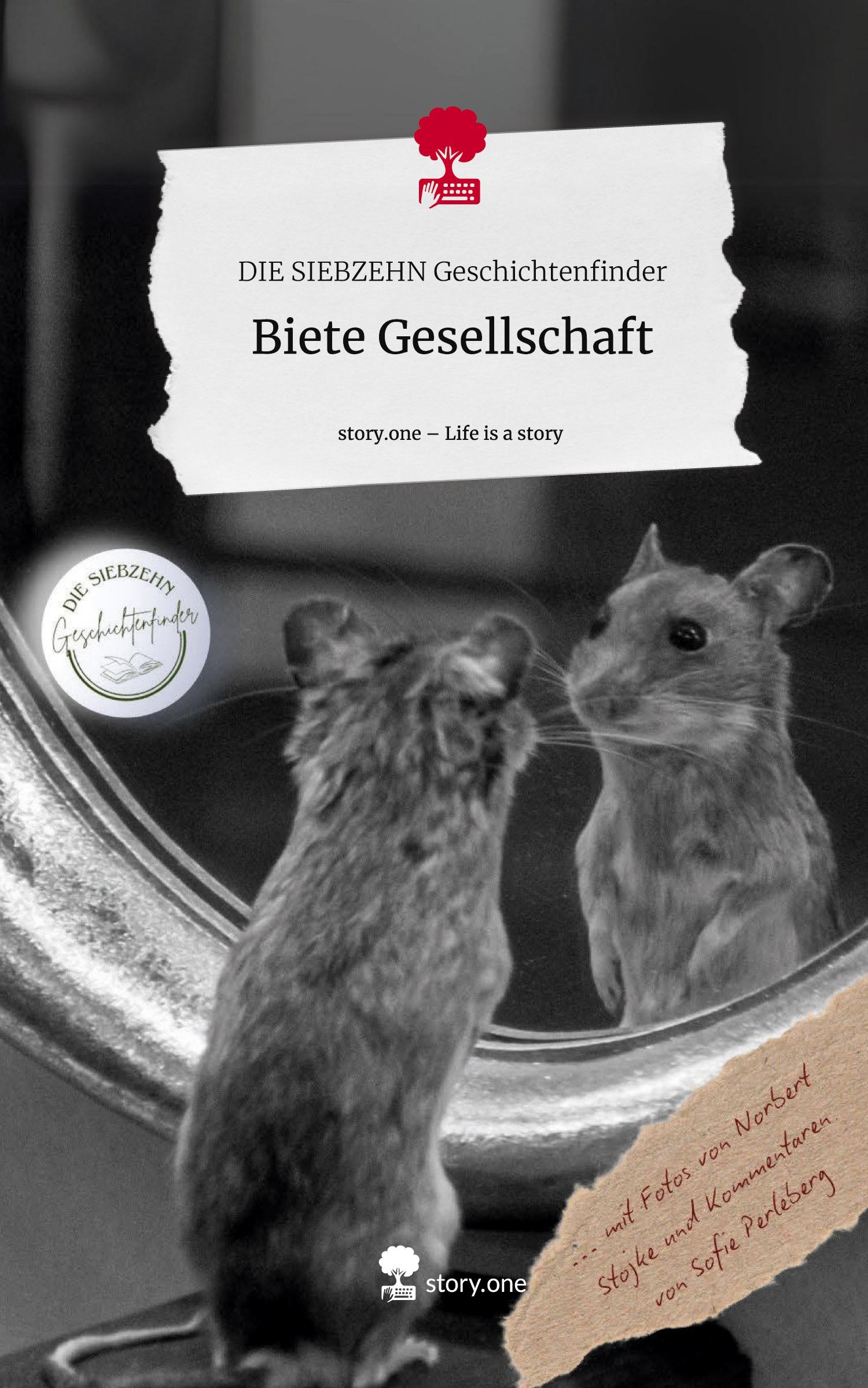 Cover: 9783711573988 | Biete Gesellschaft. Life is a Story - story.one | Geschichtenfinder