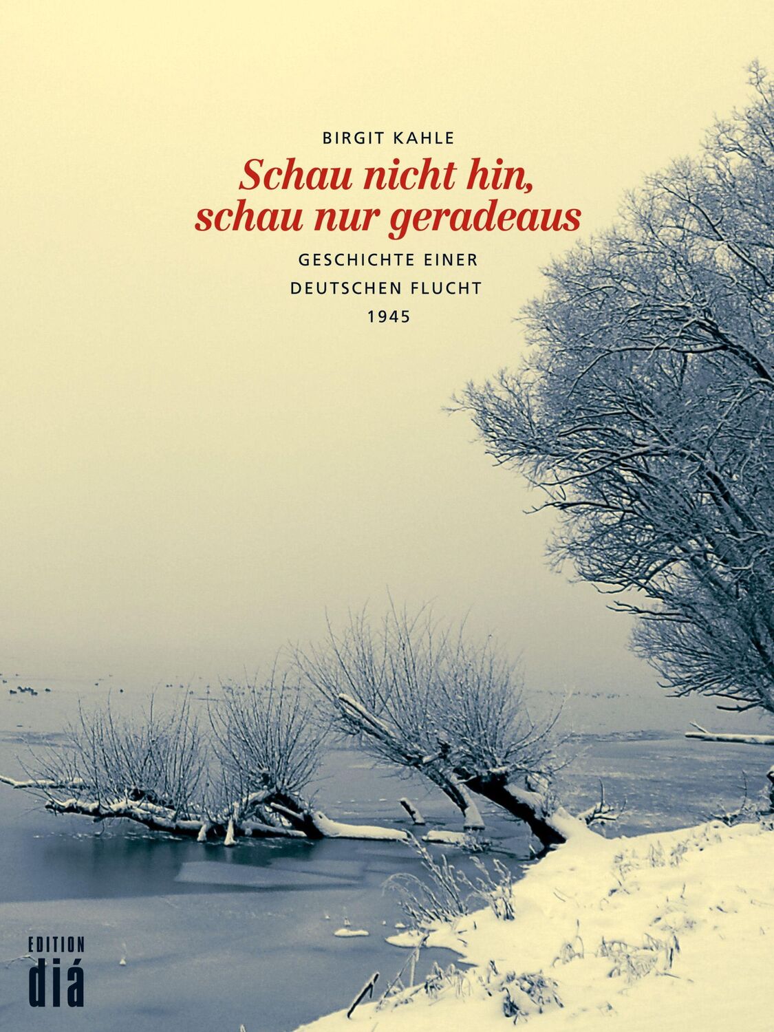 Cover: 9783860344422 | Schau nicht hin, schau nur geradeaus | Birgit Kahle | Taschenbuch