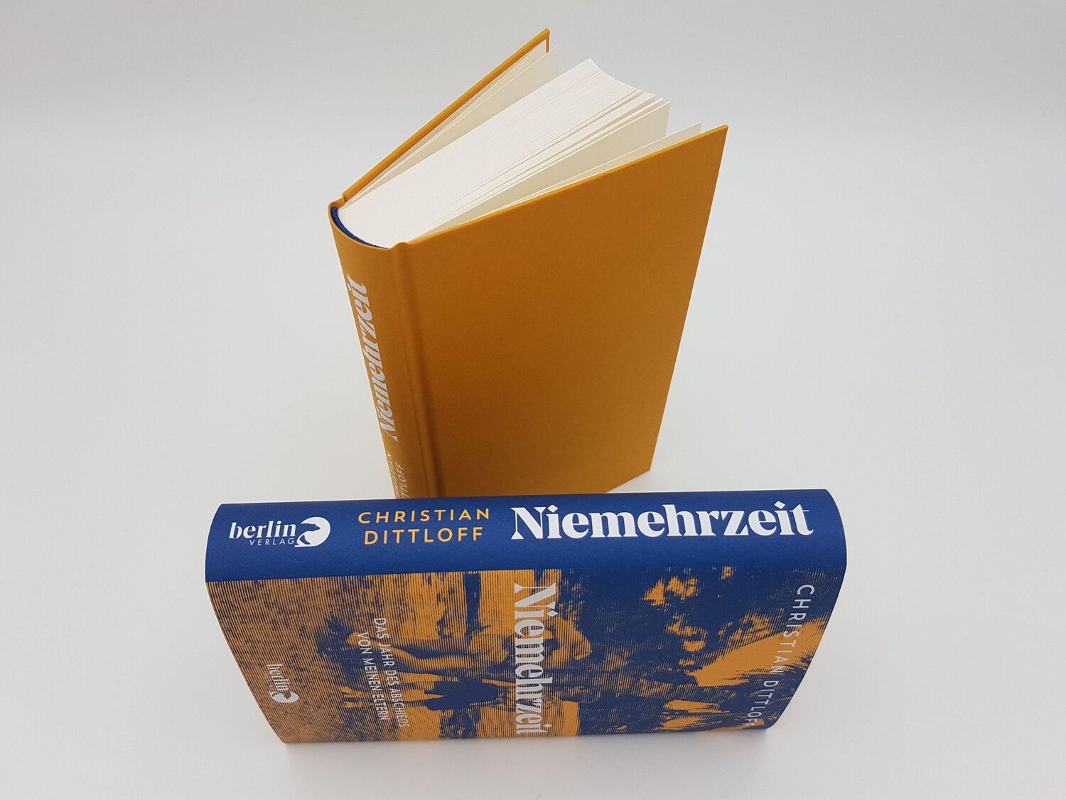 Bild: 9783827014337 | Niemehrzeit | Christian Dittloff | Buch | 224 S. | Deutsch | 2021