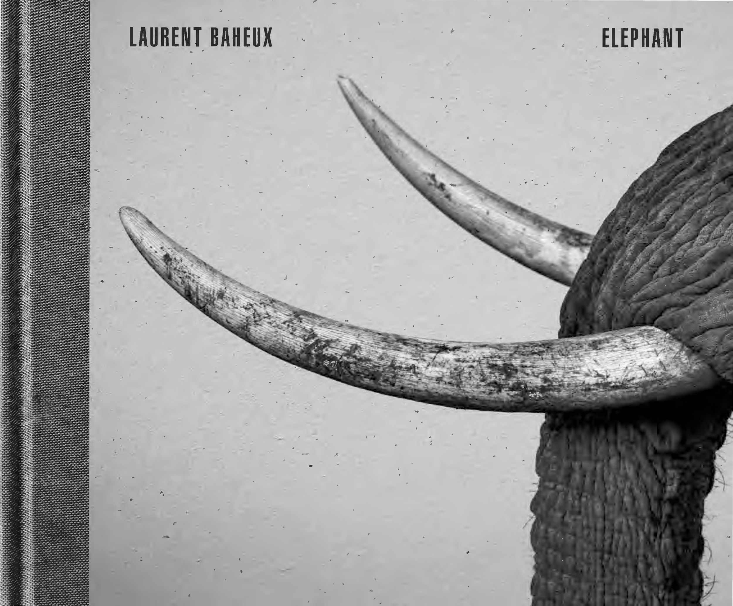 Cover: 9782490952229 | Elephant | Laurent Baheux | Buch | Gebunden | Englisch | 2021