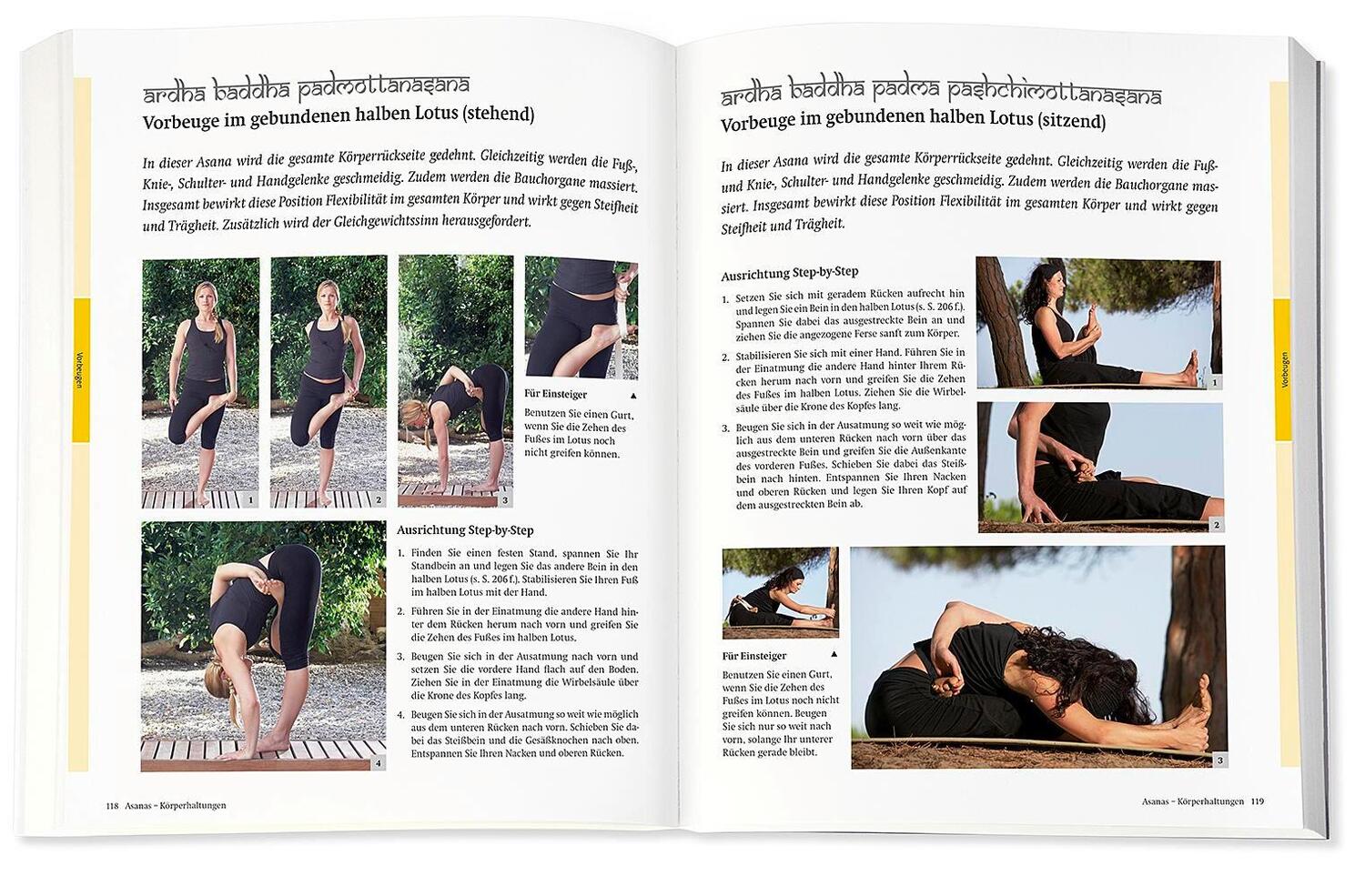 Bild: 9783426675885 | Yoga - Das große Praxisbuch für Einsteiger &amp; Fortgeschrittene | Schöps