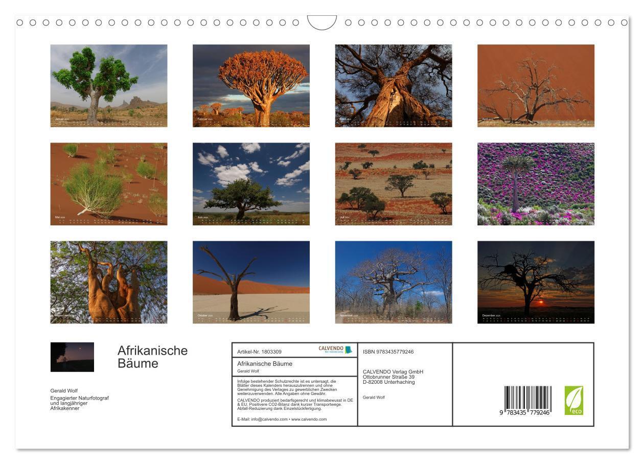 Bild: 9783435779246 | Afrikanische Bäume (Wandkalender 2025 DIN A3 quer), CALVENDO...