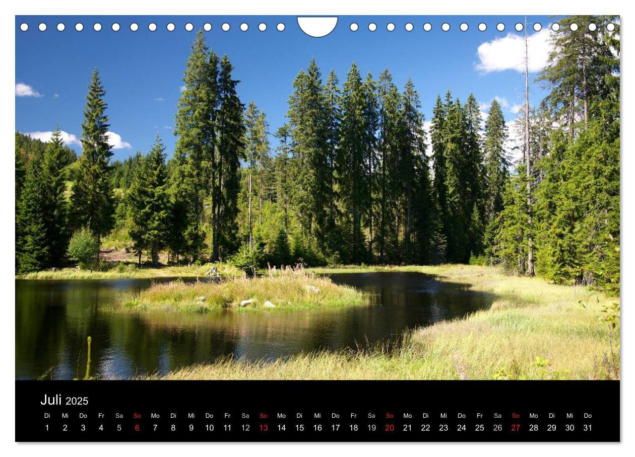 Bild: 9783435685011 | Bayerischer Wald - der Osten Bayerns (Wandkalender 2025 DIN A4...