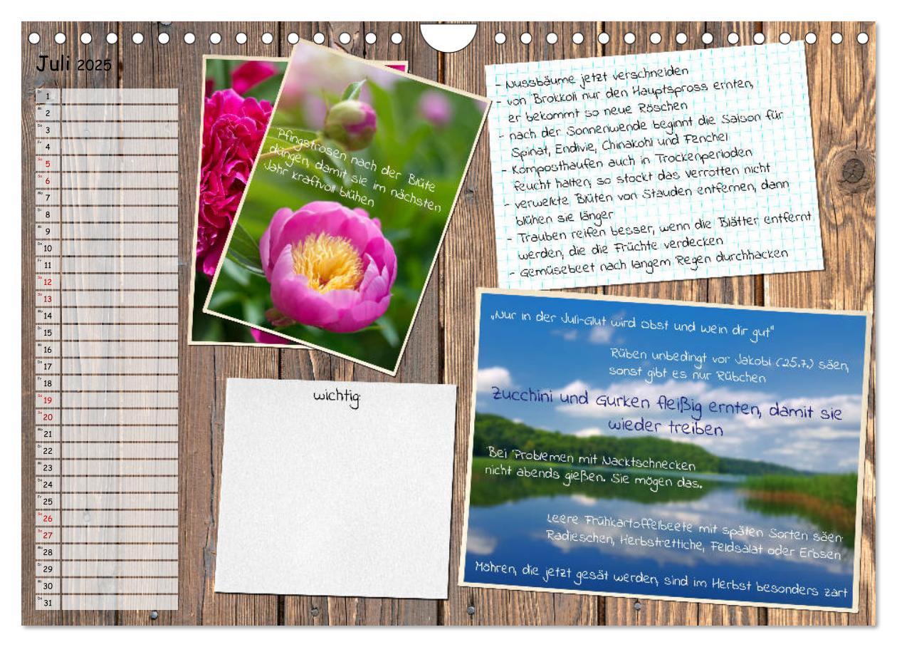 Bild: 9783435133116 | Was ist noch im Garten zu tun? (Wandkalender 2025 DIN A4 quer),...