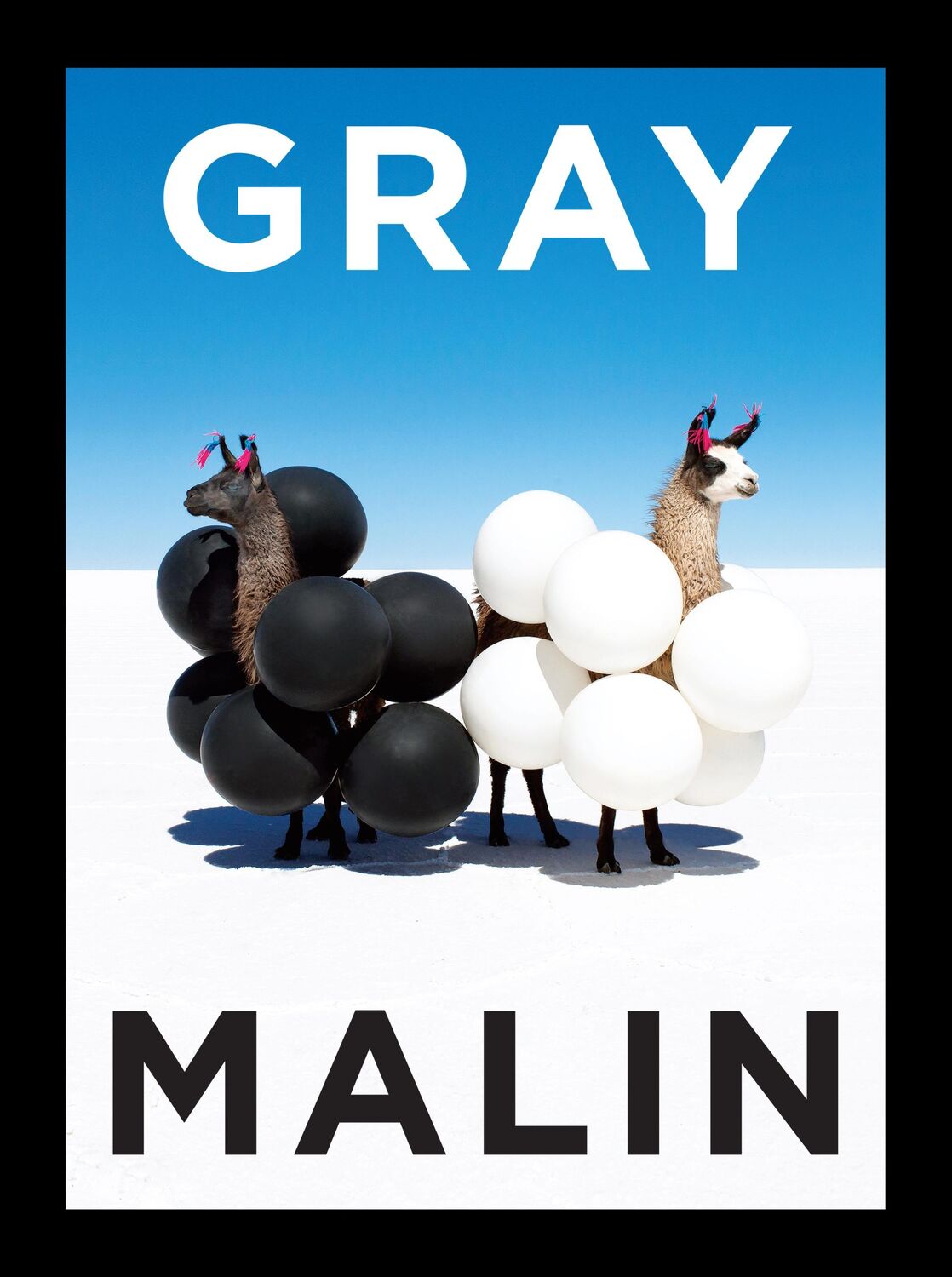 Cover: 9781419750267 | Gray Malin | The Essential Collection | Gray Malin | Buch | Gebunden