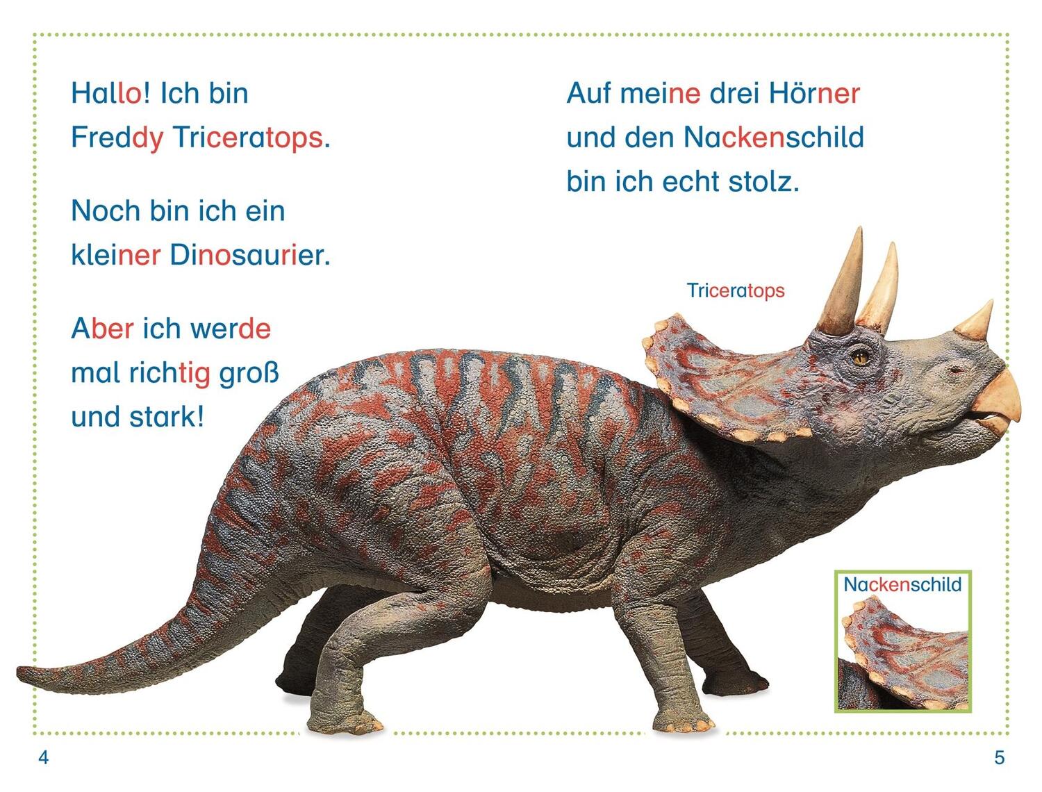 Bild: 9783831047475 | SUPERLESER! Dino in Gefahr | Susanne Böse | Buch | SUPERLESER! | 36 S.