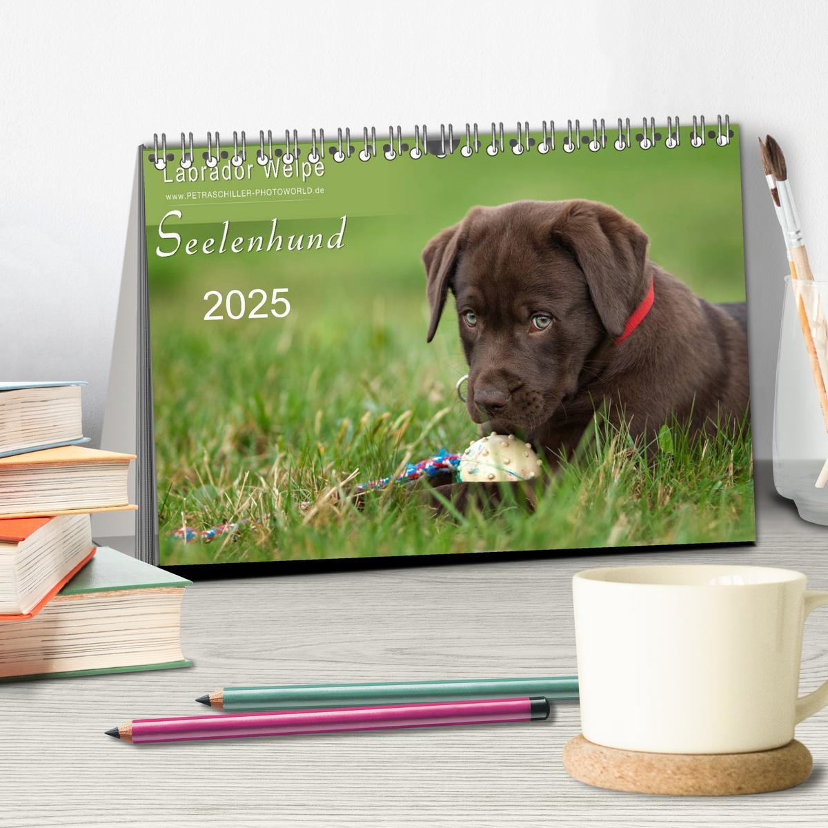 Bild: 9783435714353 | Labrador Welpe - Seelenhund (Tischkalender 2025 DIN A5 quer),...