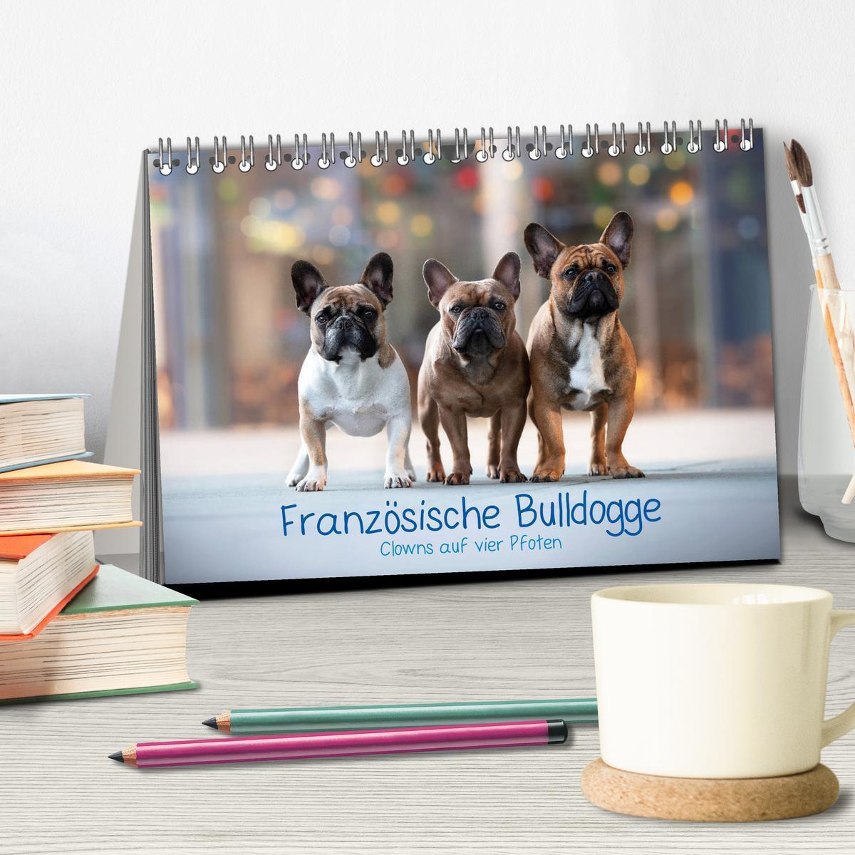 Bild: 9783435221387 | Französische Bulldogge - Clowns auf vier Pfoten (Tischkalender 2025...