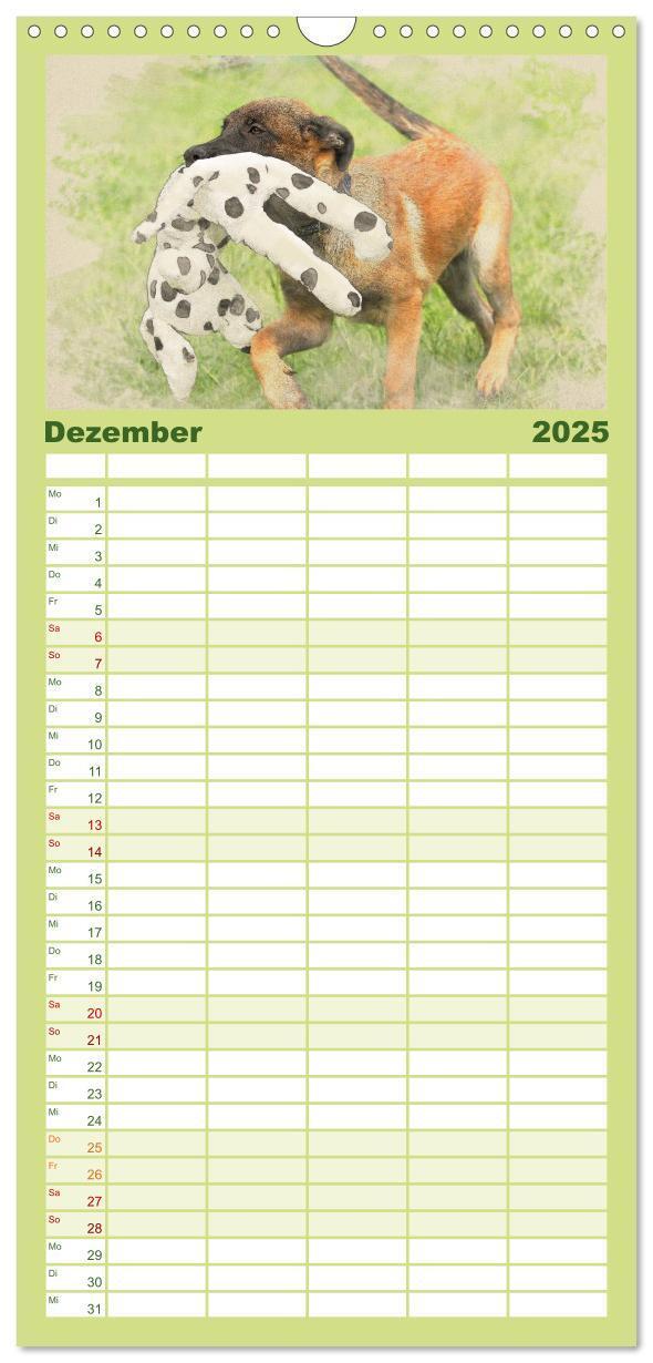 Bild: 9783457121177 | Familienplaner 2025 - Hundewelpen 2025 mit 5 Spalten (Wandkalender,...