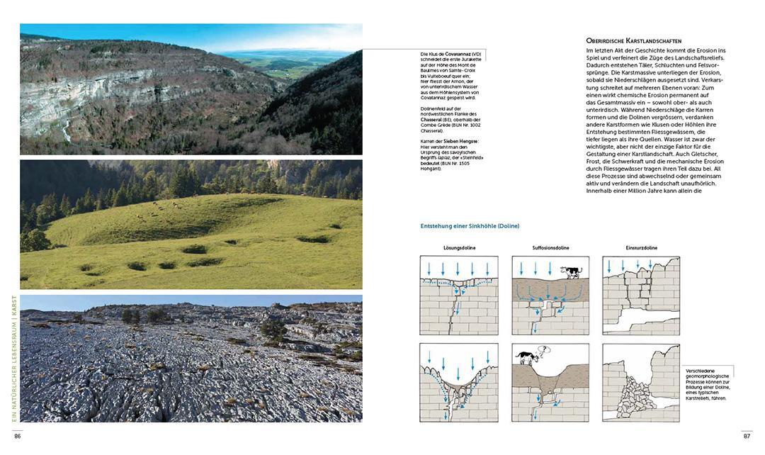 Bild: 9783258083476 | In den Höhlen der Schweiz | Vom Abenteuer zur Wissenschaft | Buch