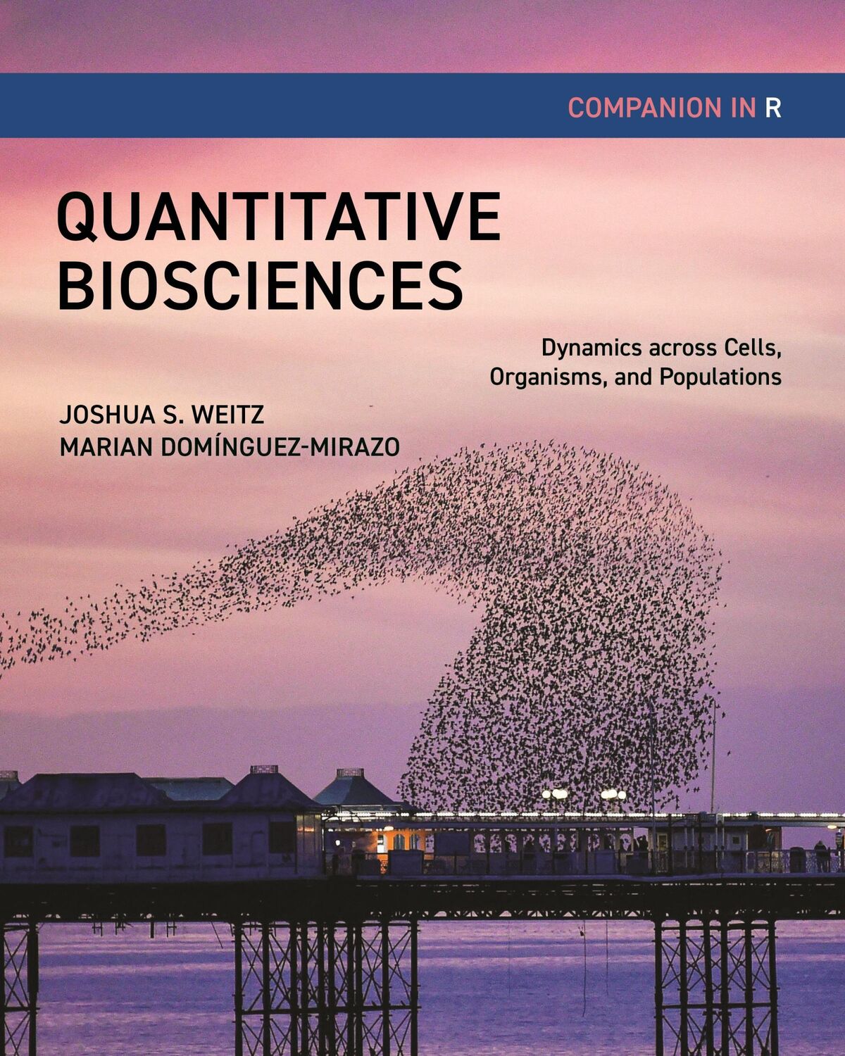 Cover: 9780691255668 | Quantitative Biosciences Companion in R | Joshua S Weitz (u. a.)