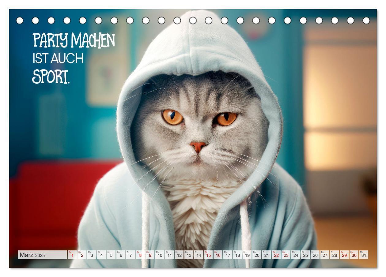 Bild: 9783383772047 | KATZEN-IRONIE Lach mal wieder (Tischkalender 2025 DIN A5 quer),...