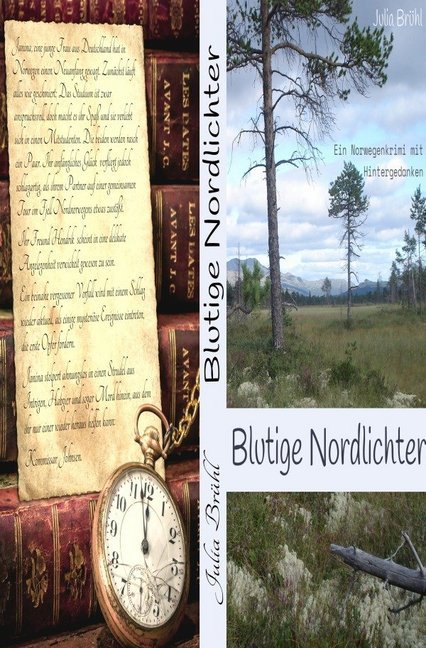 Cover: 9783741896637 | Blutige Nordlichter | Ein Norwegen-Krimi mit Hintergedanken | Brühl