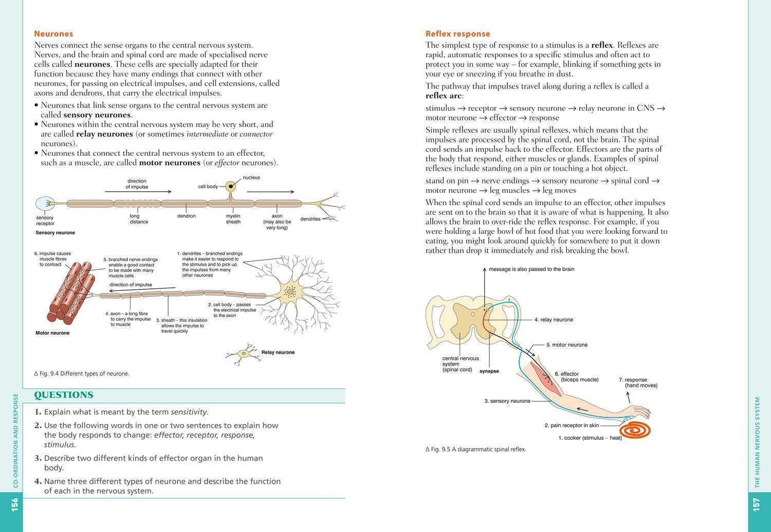 Bild: 9780008191573 | Cambridge IGCSE(TM) Co-ordinated Sciences Biology Student's Book