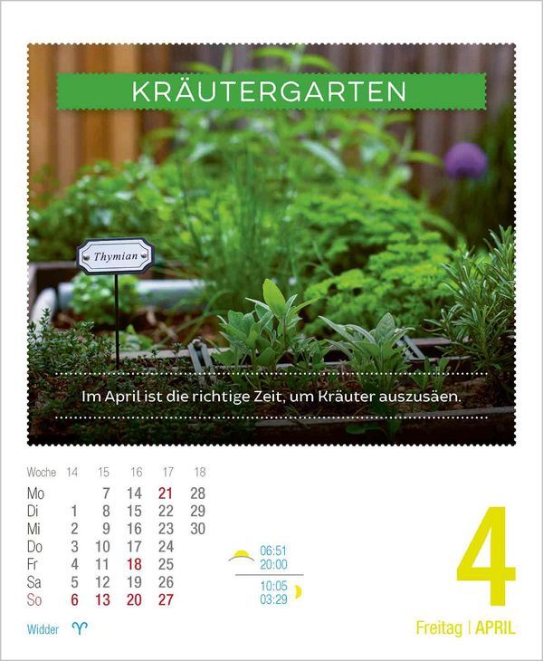 Bild: 9783731880523 | Gesund &amp; Lecker! 2025 | Korsch Verlag | Kalender | 328 S. | Deutsch