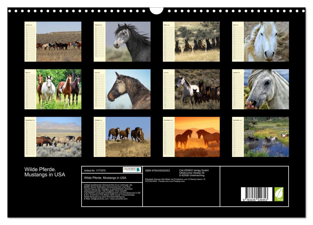 Bild: 9783435529353 | Wilde Pferde. Mustangs in USA (Wandkalender 2025 DIN A3 quer),...