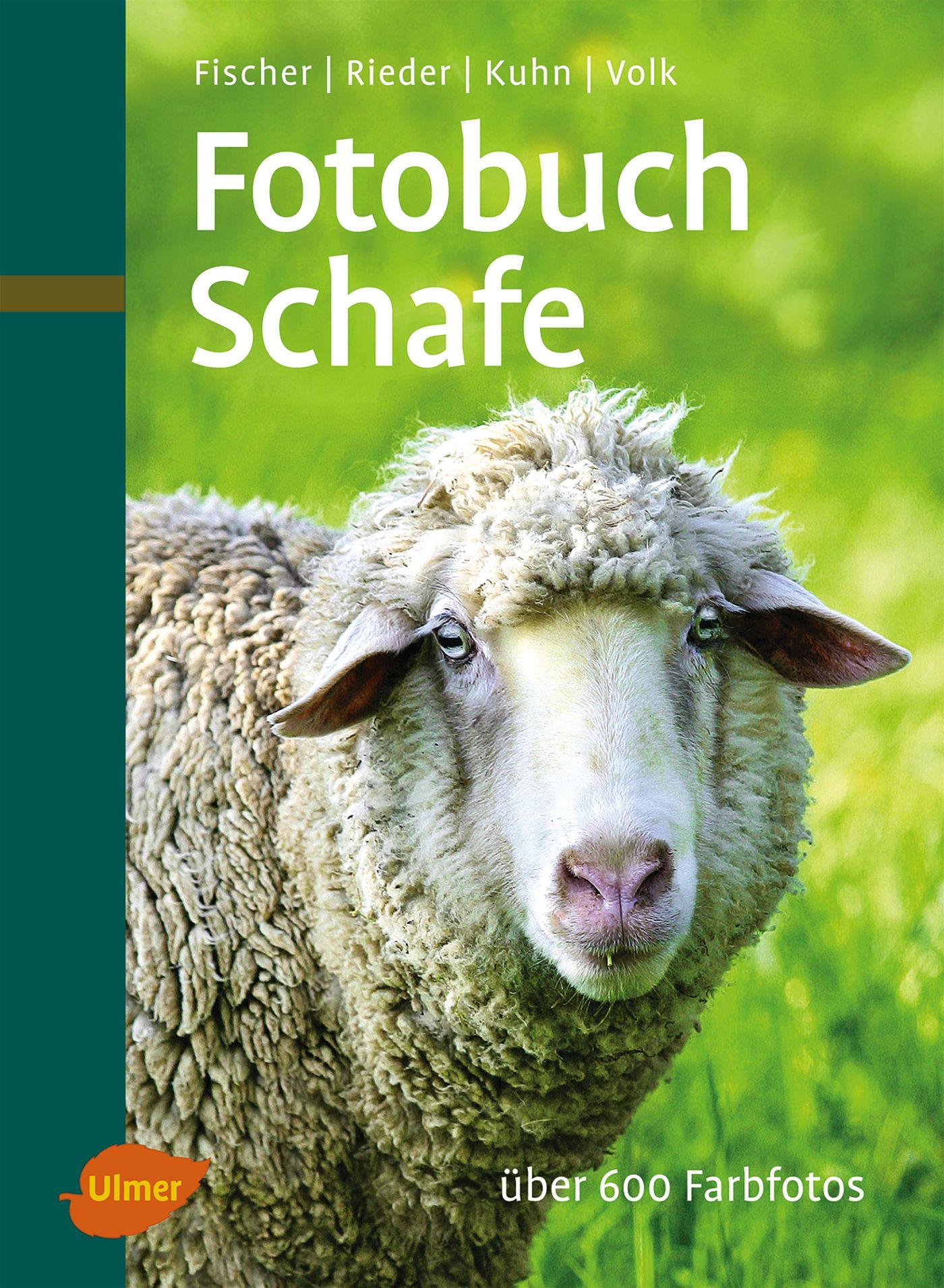 Cover: 9783800164172 | Fotobuch Schafe | Gerhard Fischer (u. a.) | Buch | 160 S. | Deutsch