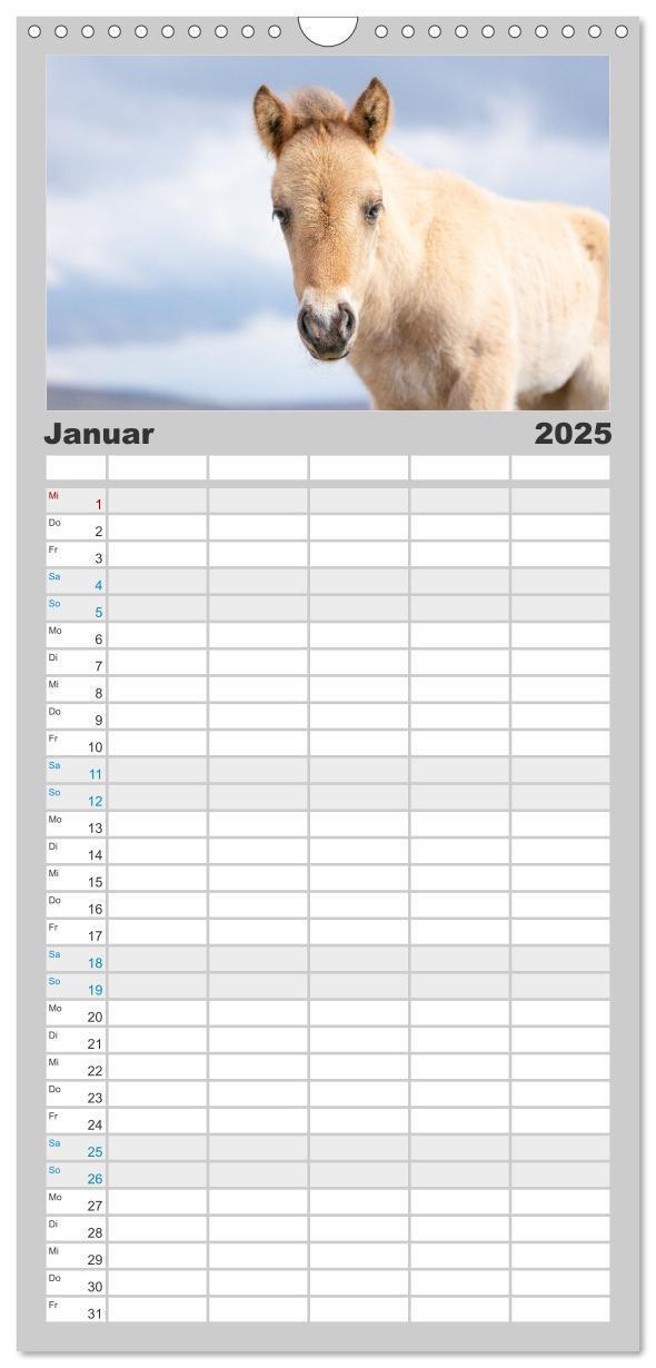 Bild: 9783457101568 | Familienplaner 2025 - Islandpferde Kalender - Pferde von der Insel...