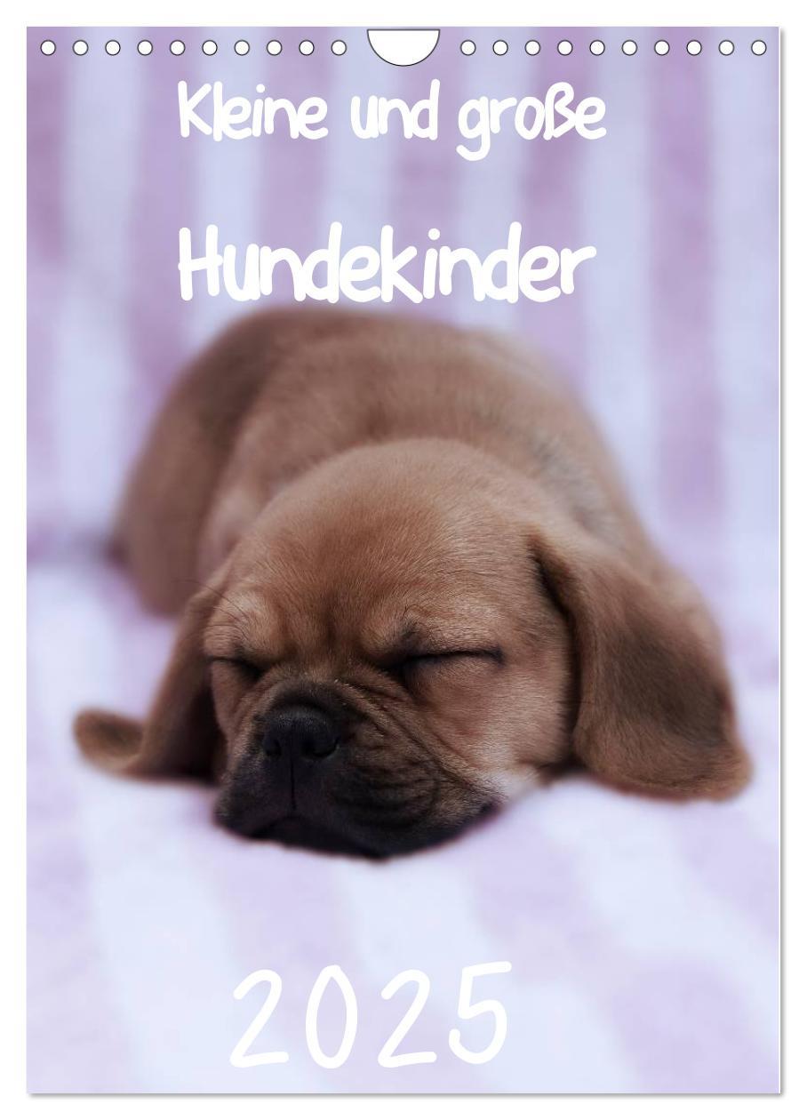 Cover: 9783457062586 | Kleine und große Hundekinder 2025 (Wandkalender 2025 DIN A4 hoch),...