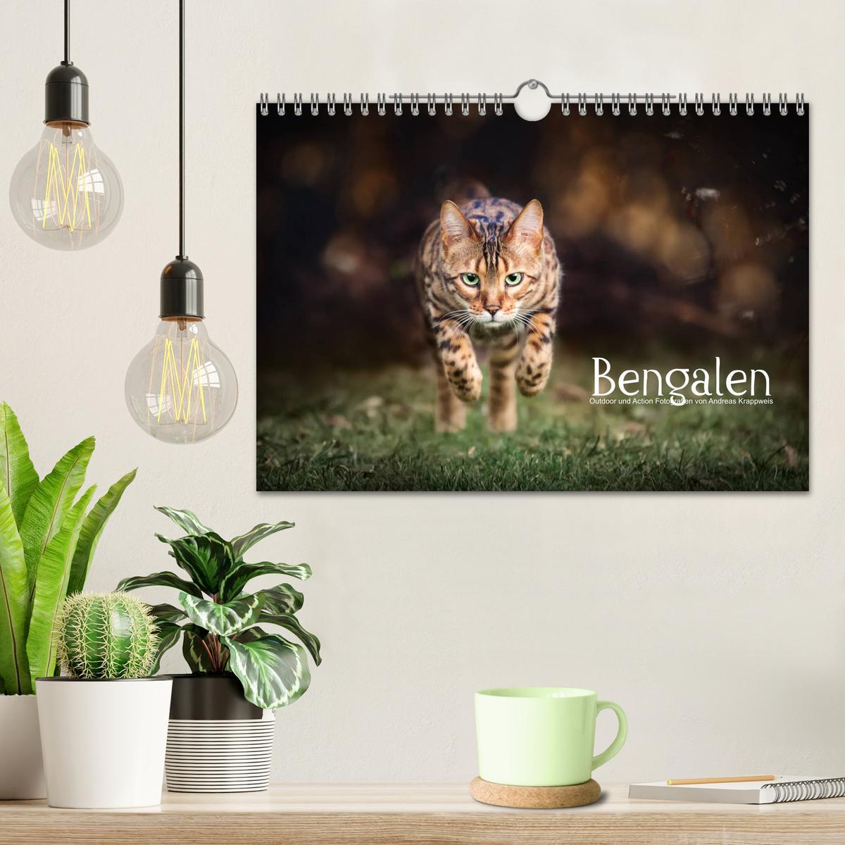 Bild: 9783435336876 | Bengalen Outdoor und Action (Wandkalender 2025 DIN A4 quer),...