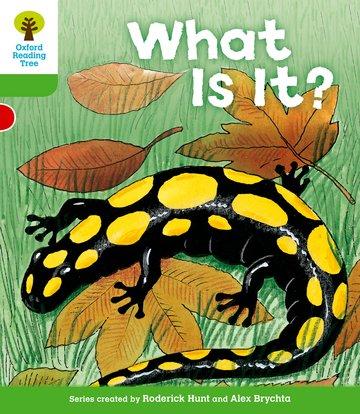 Cover: 9780198481621 | Oxford Reading Tree: Level 2: More Patterned Stories A: What Is It?