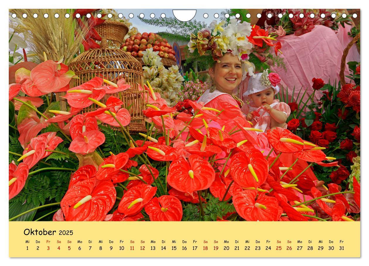 Bild: 9783435457687 | Blumenfest auf Madeira (Wandkalender 2025 DIN A4 quer), CALVENDO...