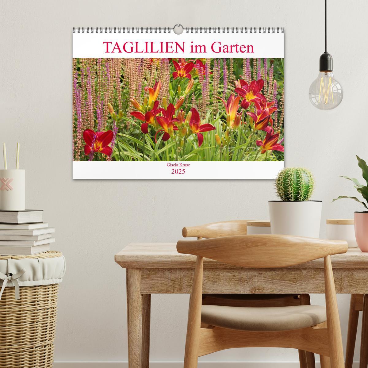 Bild: 9783435296583 | Taglilien im Garten (Wandkalender 2025 DIN A3 quer), CALVENDO...