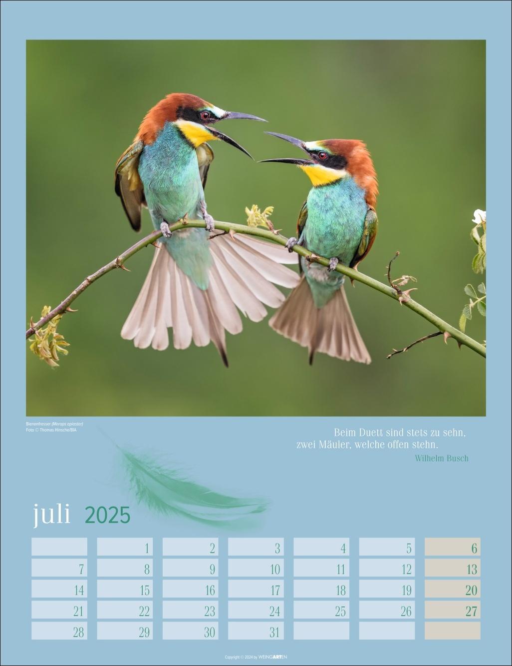 Bild: 9783839900710 | Heimische Vögel Kalender 2025 | Kalender | Spiralbindung | 14 S.