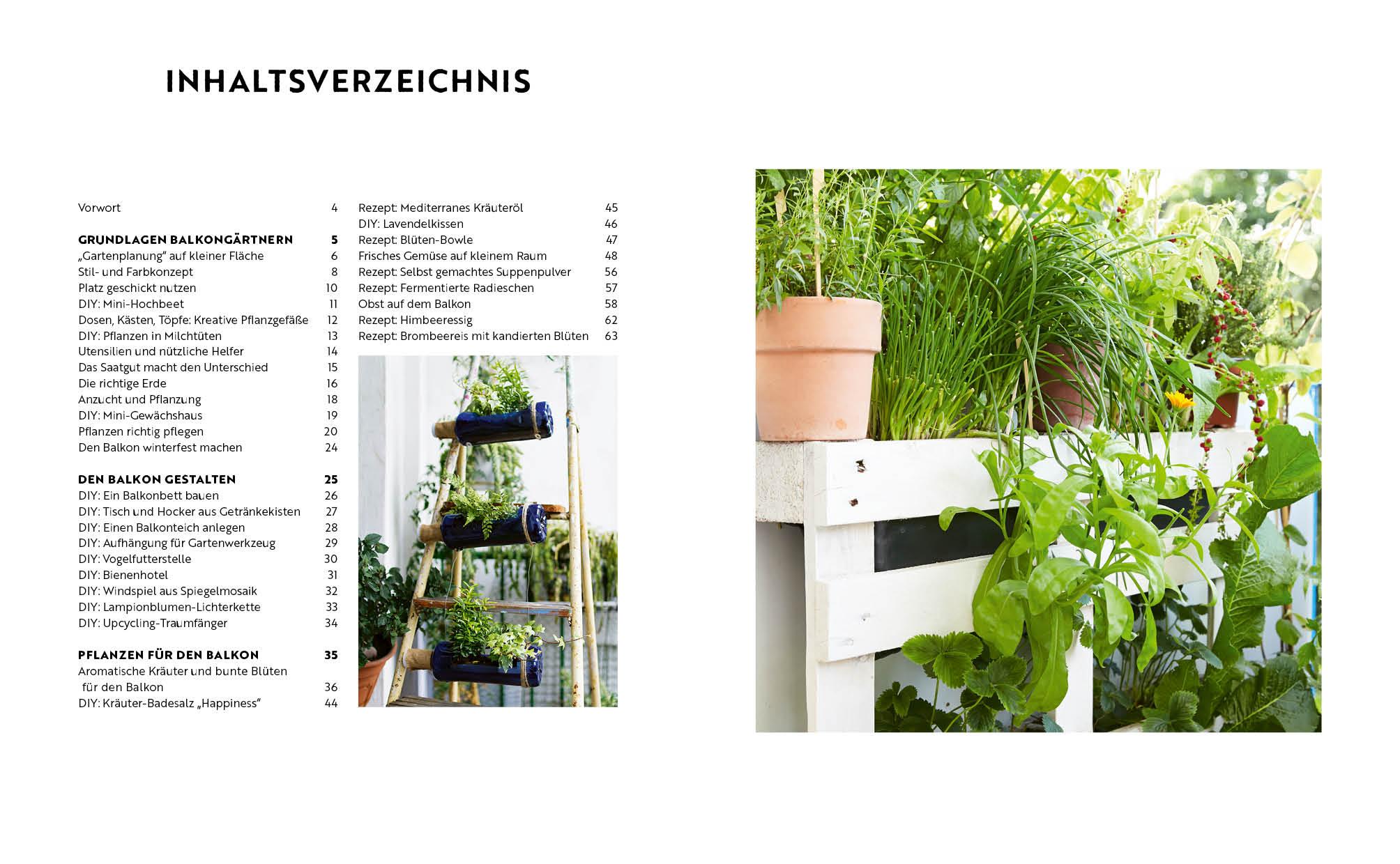 Bild: 9783745919172 | Gartenmomente: Balkongarten | Nadja Buchczik (u. a.) | Buch | 64 S.