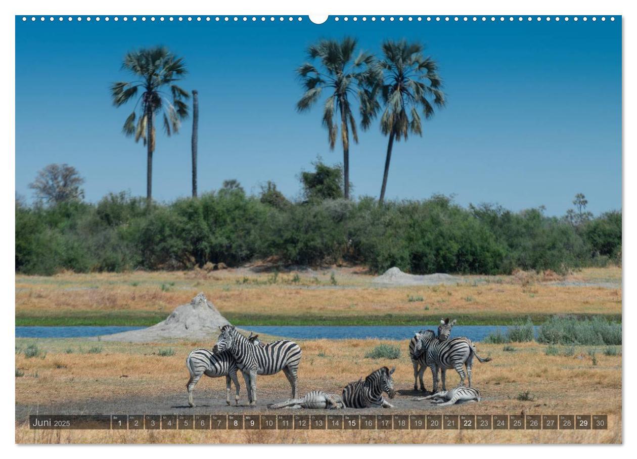 Bild: 9783435600380 | Botswana ¿ Landschaft und Tierwelt (hochwertiger Premium...