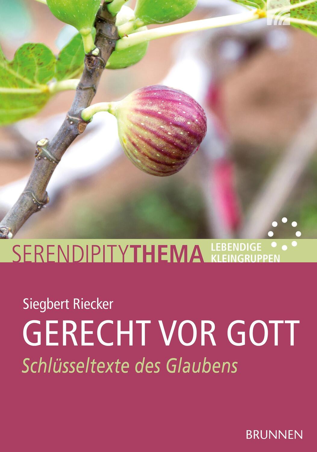 Cover: 9783765507748 | Gerecht vor Gott | Schlüsseltexte des Glaubens | Siegbert Riecker