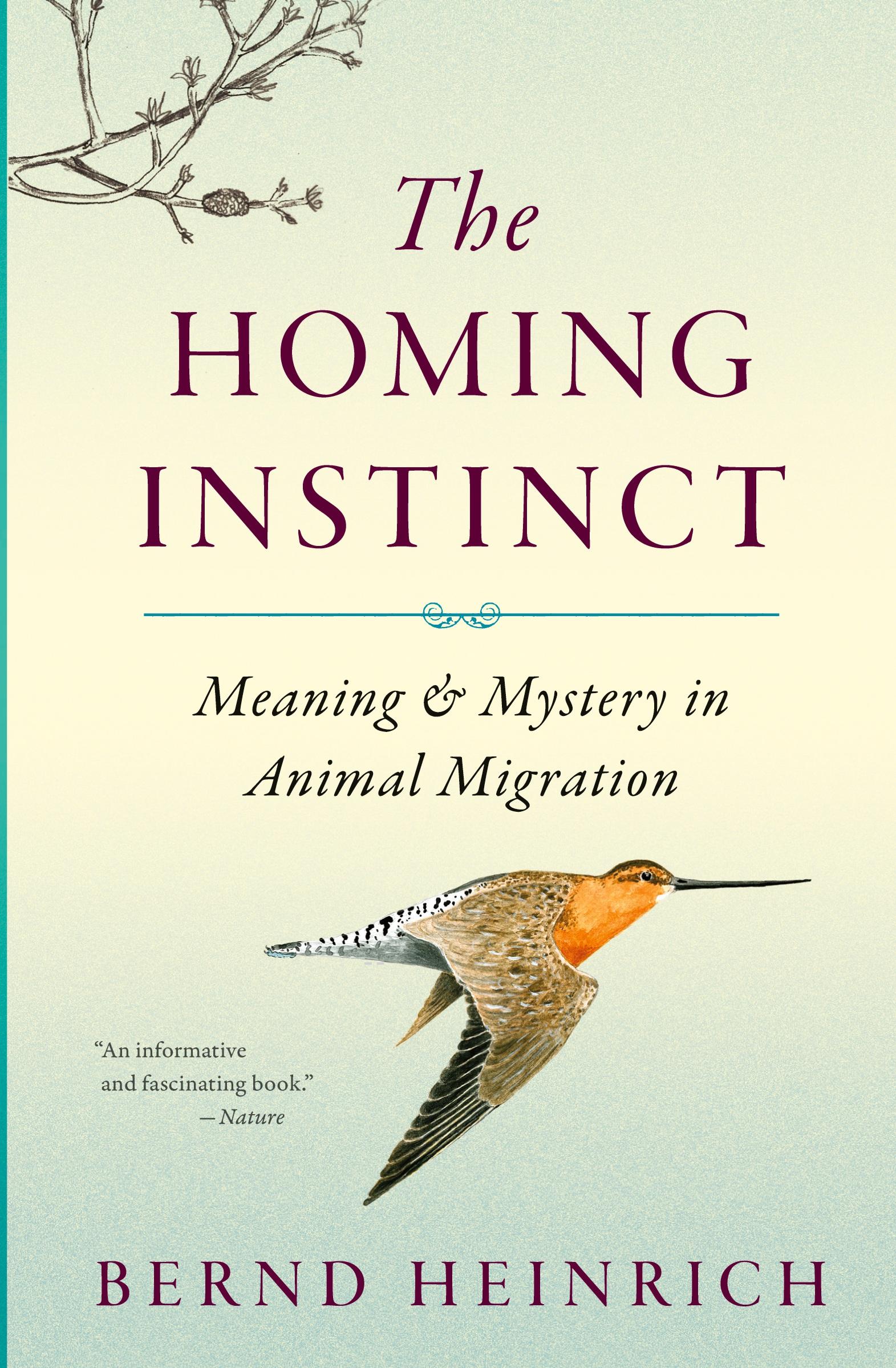 Cover: 9780544484016 | The Homing Instinct | Meaning and Mystery in Animal Migration | Buch