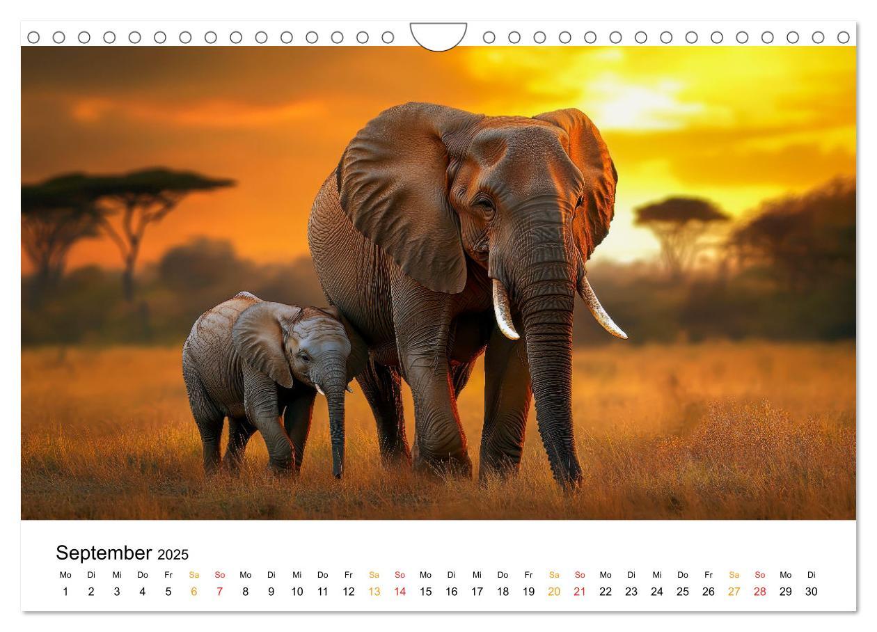 Bild: 9783457240465 | Elefanten - Riesen der Wildnis (Wandkalender 2025 DIN A4 quer),...