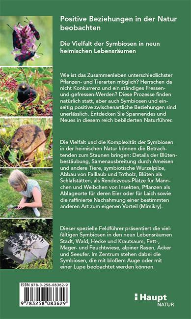 Rückseite: 9783258083629 | Symbiosen beobachten | Andreas Gigon (u. a.) | Taschenbuch | 208 S.