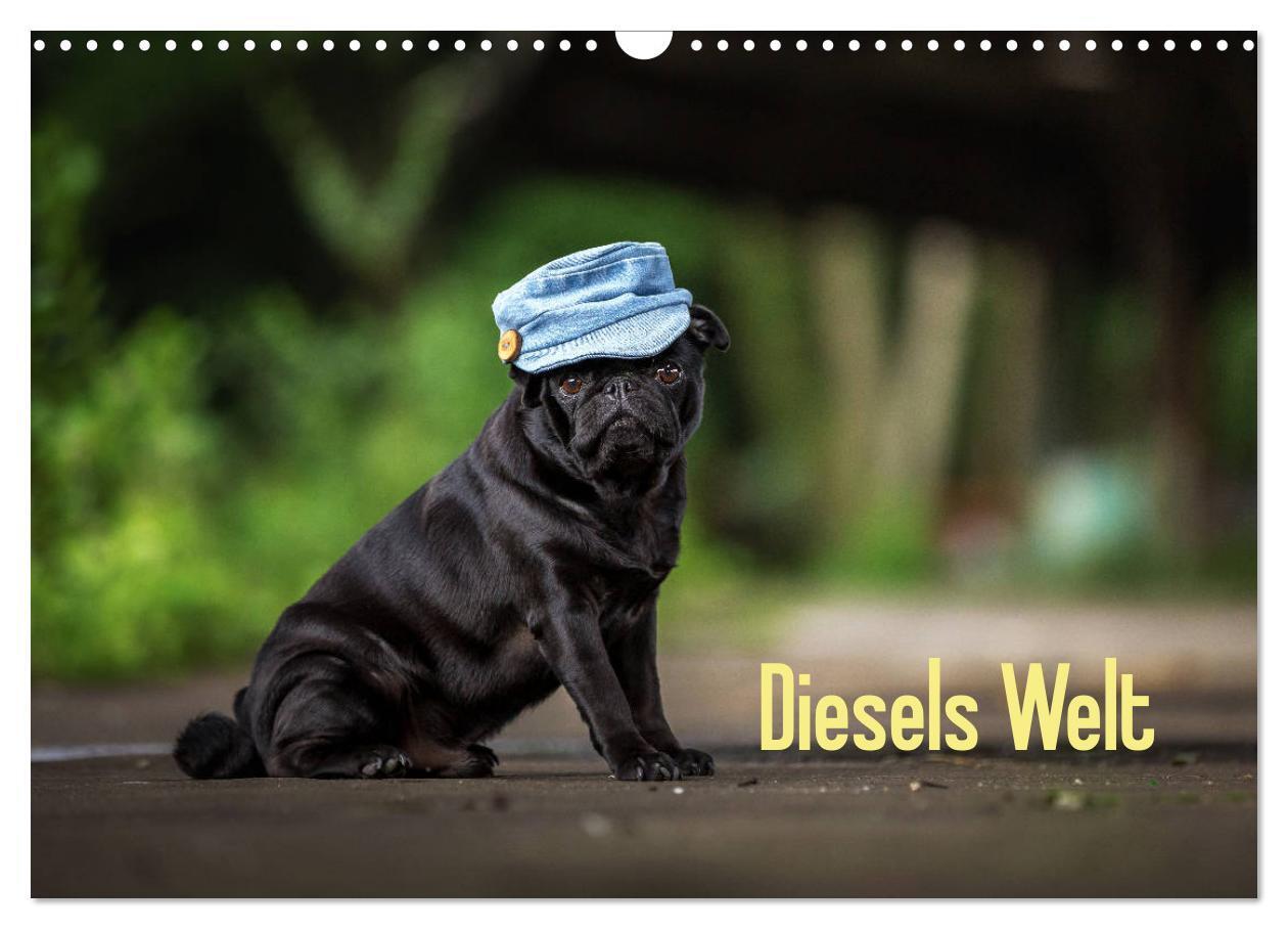 Cover: 9783435330997 | Diesels Welt (Wandkalender 2025 DIN A3 quer), CALVENDO Monatskalender