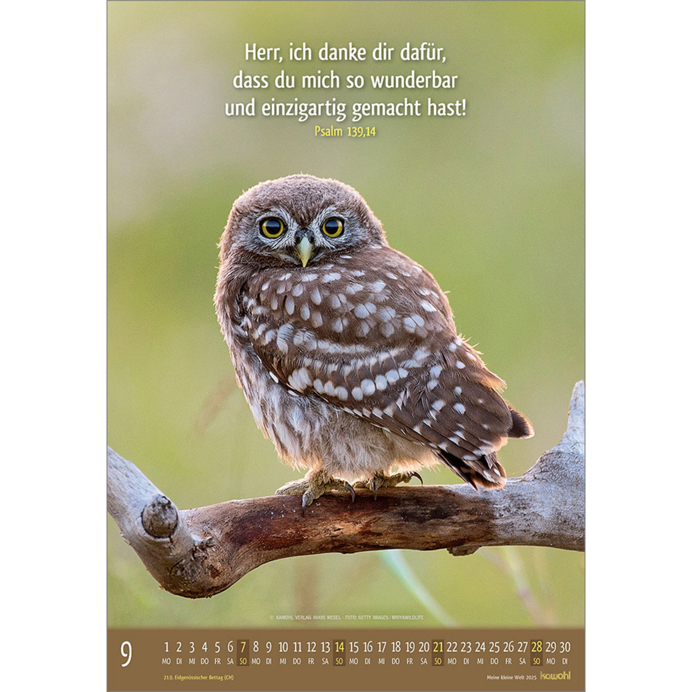 Bild: 9783754845059 | Meine kleine Welt 2025 | Tierkalender mit Bibelworten | Kalender