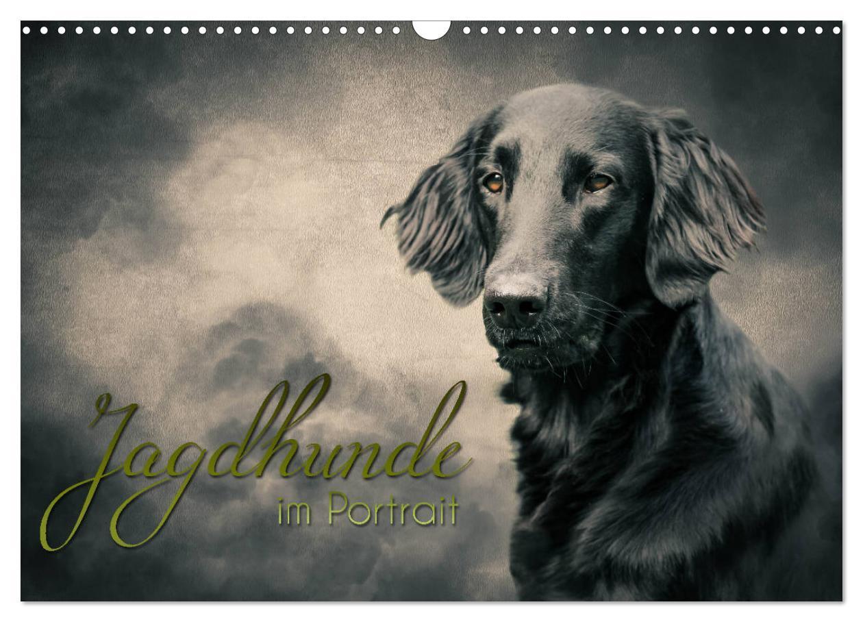 Cover: 9783435293933 | Jagdhunde im Portrait (Wandkalender 2025 DIN A3 quer), CALVENDO...