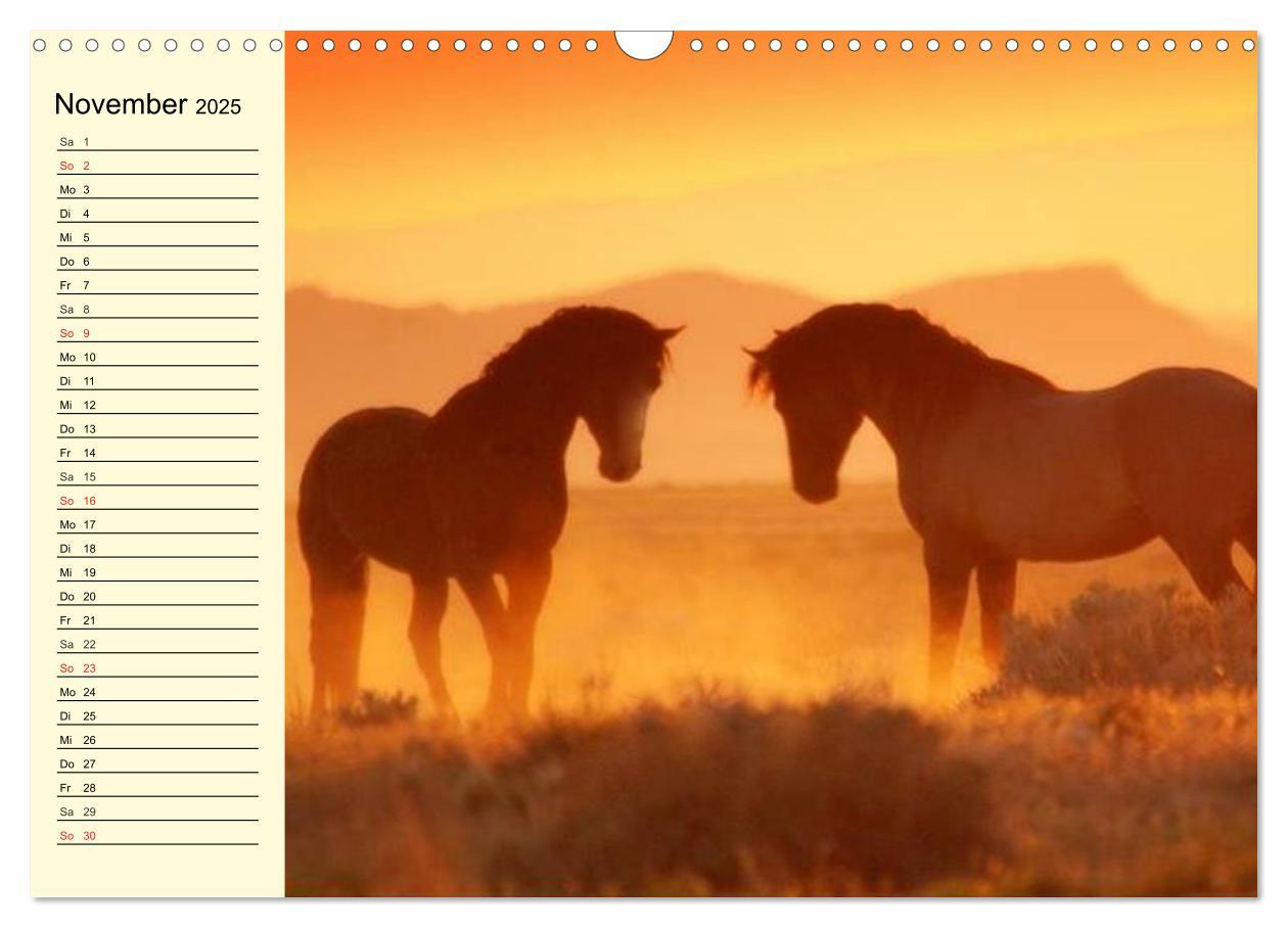 Bild: 9783435529353 | Wilde Pferde. Mustangs in USA (Wandkalender 2025 DIN A3 quer),...