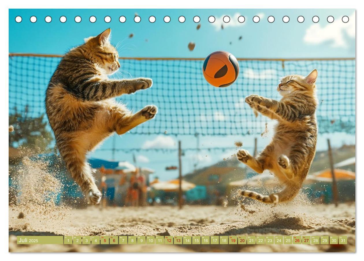 Bild: 9783457178423 | Lustige Sportarten für Katzen (Tischkalender 2025 DIN A5 quer),...